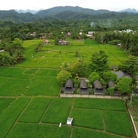 Gino'S Place - Guest House & Jungle Trekking Bukit Lawang Εξωτερικό φωτογραφία