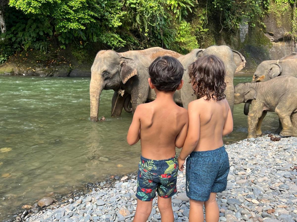Gino'S Place - Guest House & Jungle Trekking Bukit Lawang Εξωτερικό φωτογραφία