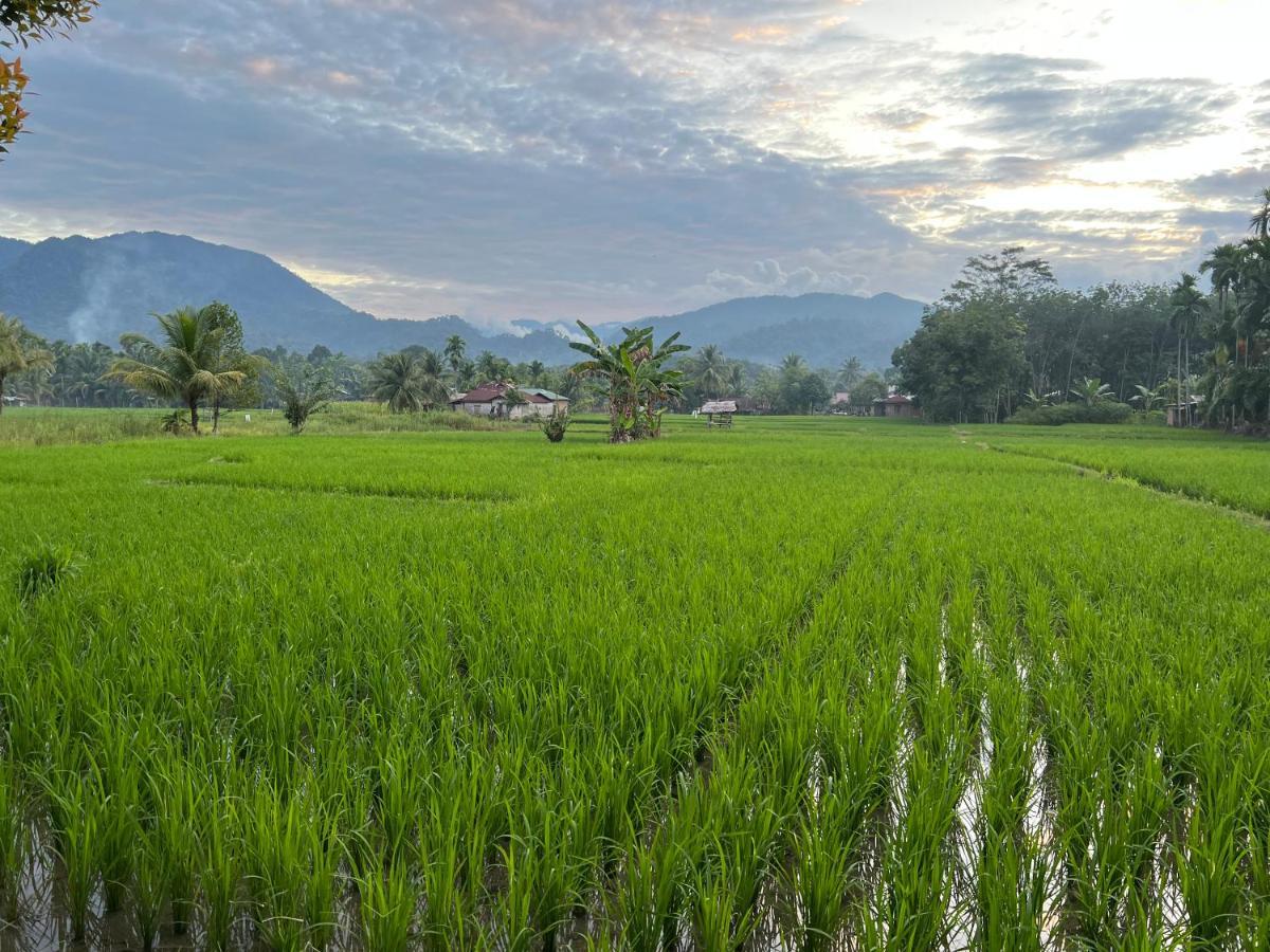 Gino'S Place - Guest House & Jungle Trekking Bukit Lawang Εξωτερικό φωτογραφία