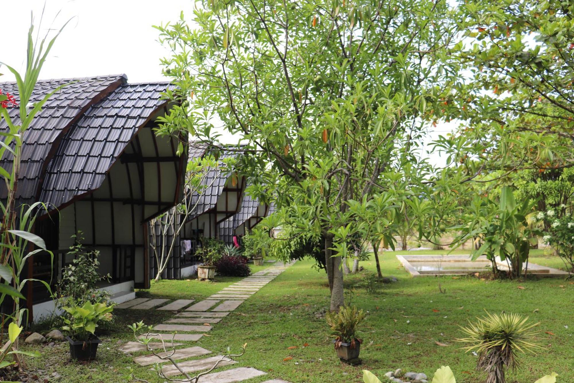 Gino'S Place - Guest House & Jungle Trekking Bukit Lawang Εξωτερικό φωτογραφία
