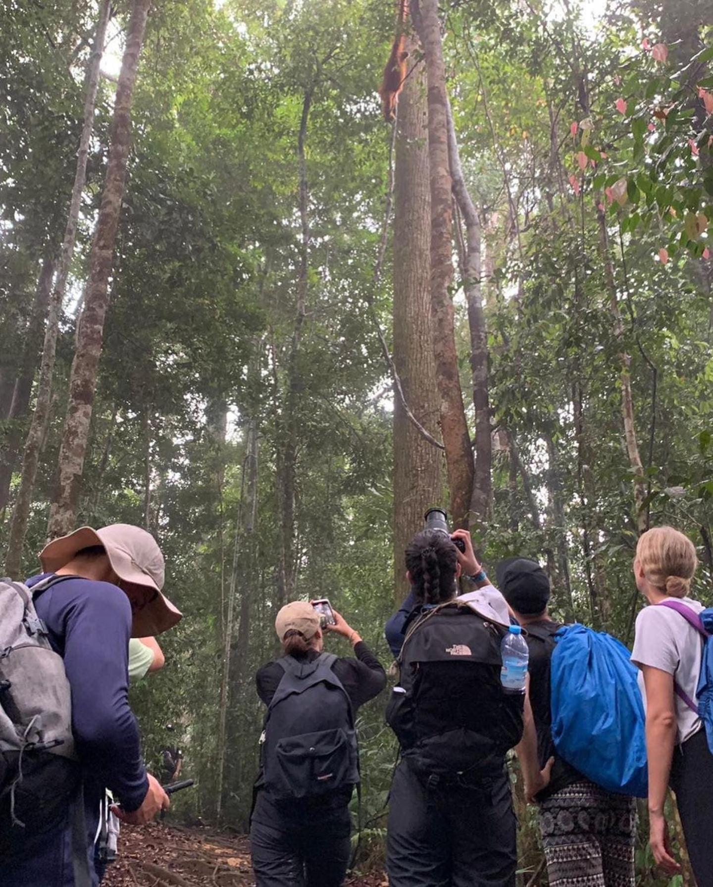 Gino'S Place - Guest House & Jungle Trekking Bukit Lawang Εξωτερικό φωτογραφία