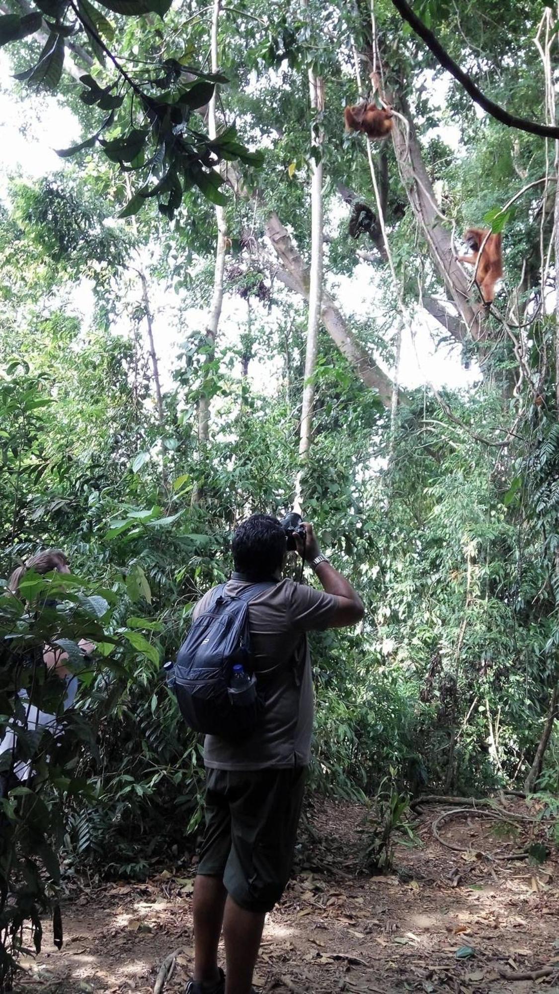 Gino'S Place - Guest House & Jungle Trekking Bukit Lawang Εξωτερικό φωτογραφία