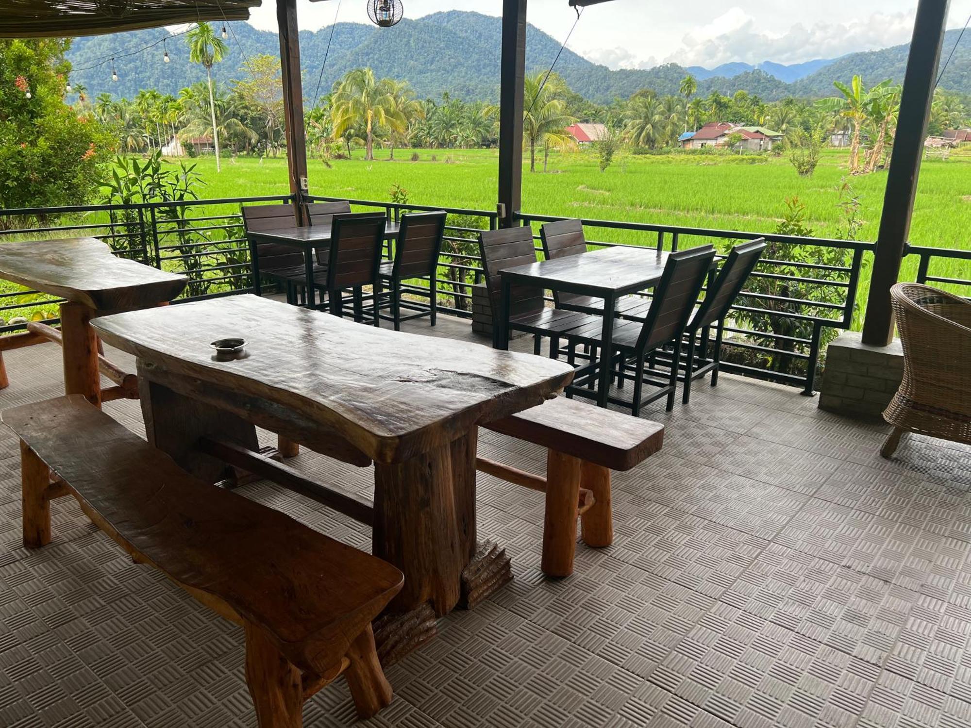 Gino'S Place - Guest House & Jungle Trekking Bukit Lawang Εξωτερικό φωτογραφία