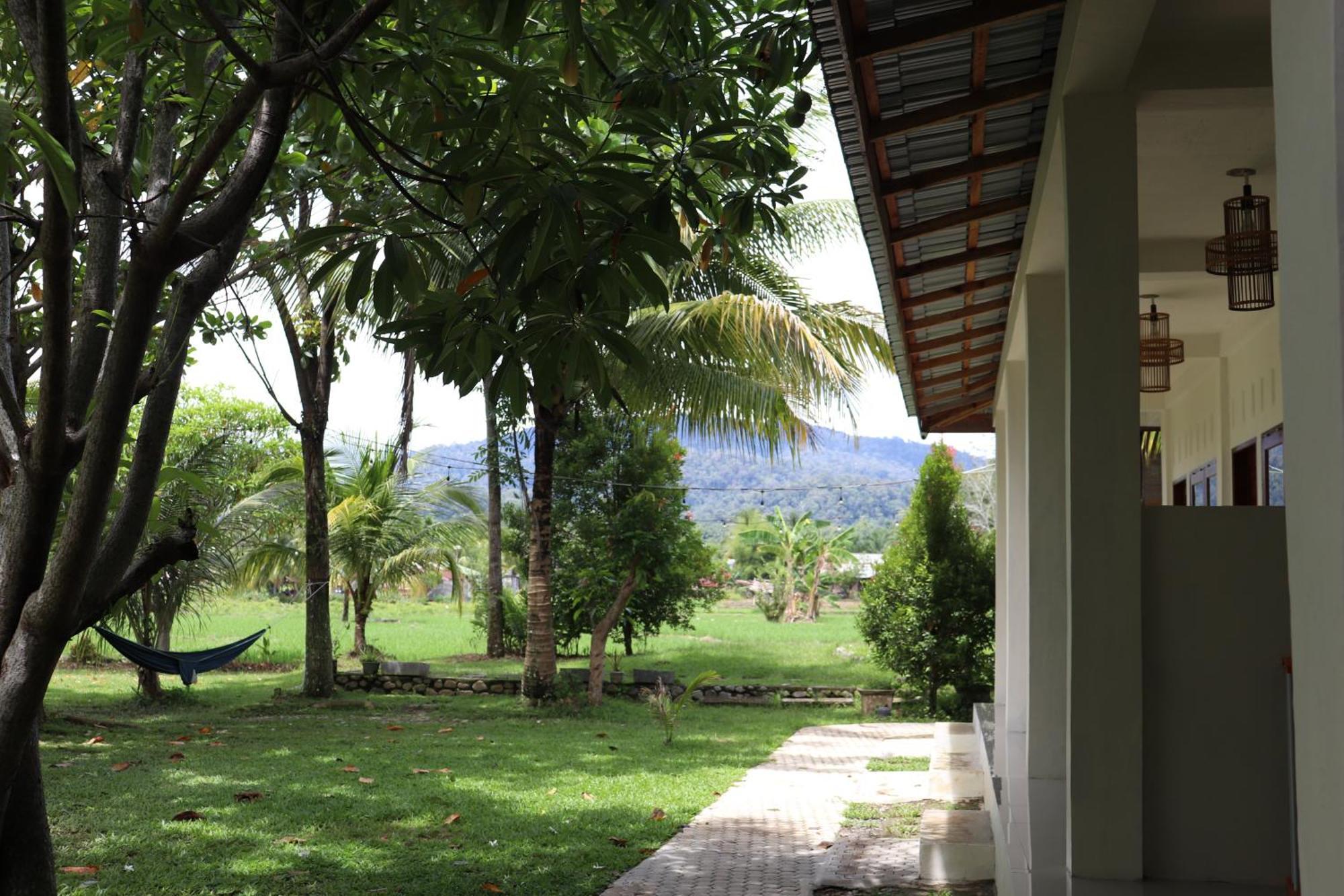 Gino'S Place - Guest House & Jungle Trekking Bukit Lawang Εξωτερικό φωτογραφία