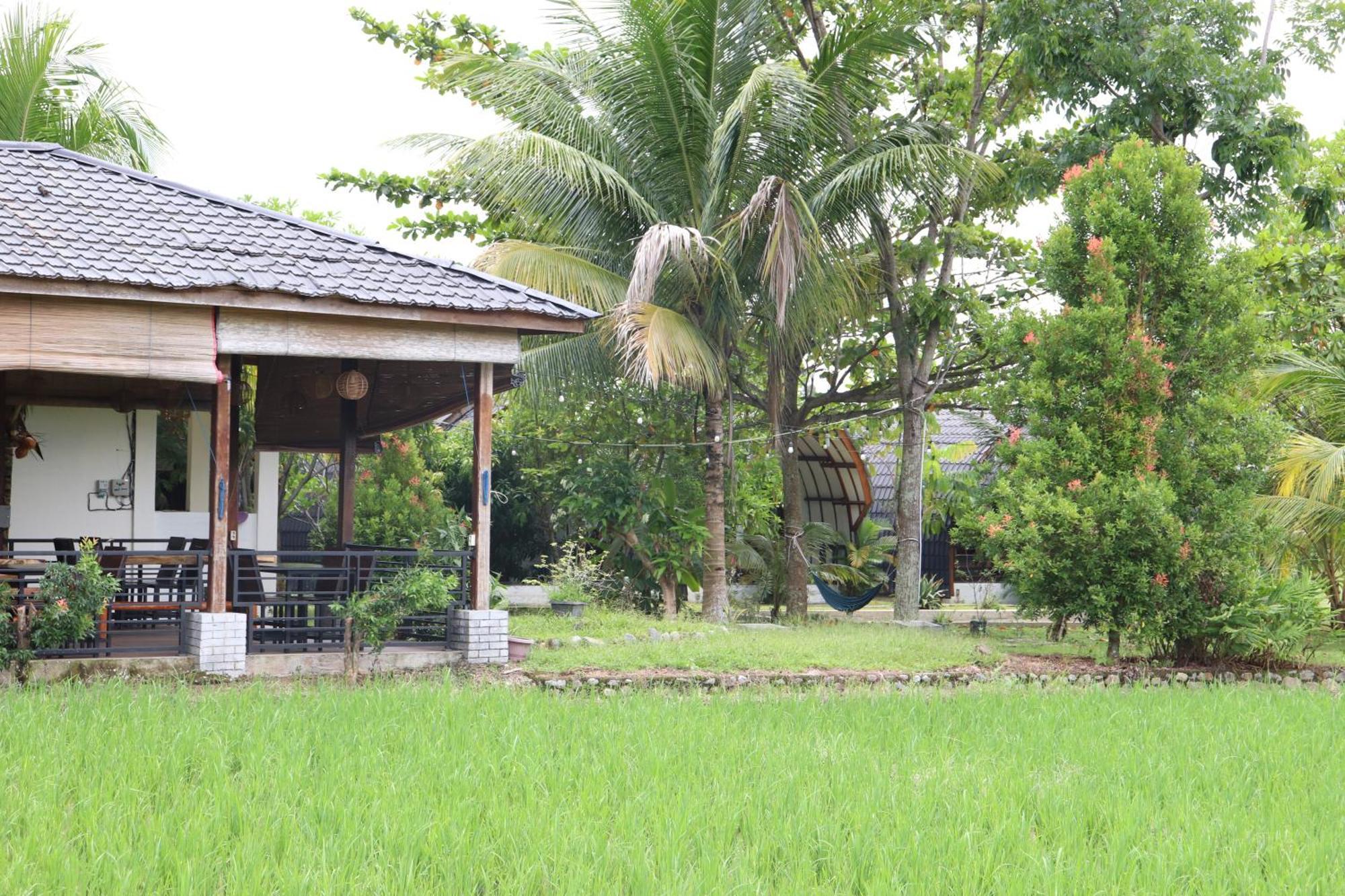 Gino'S Place - Guest House & Jungle Trekking Bukit Lawang Εξωτερικό φωτογραφία