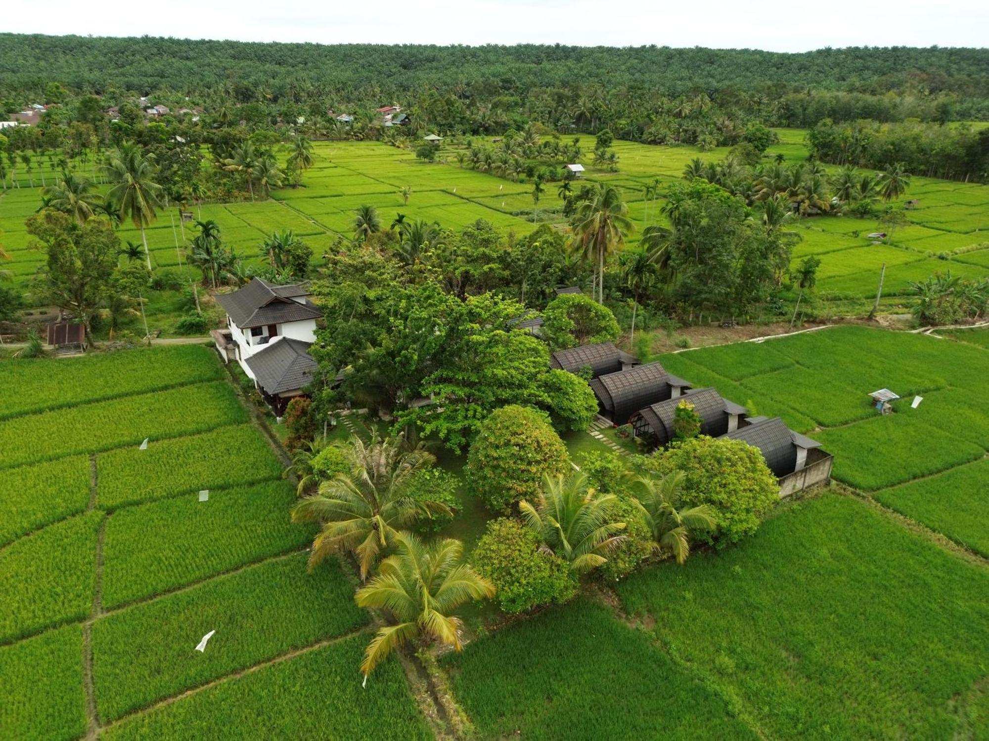 Gino'S Place - Guest House & Jungle Trekking Bukit Lawang Εξωτερικό φωτογραφία