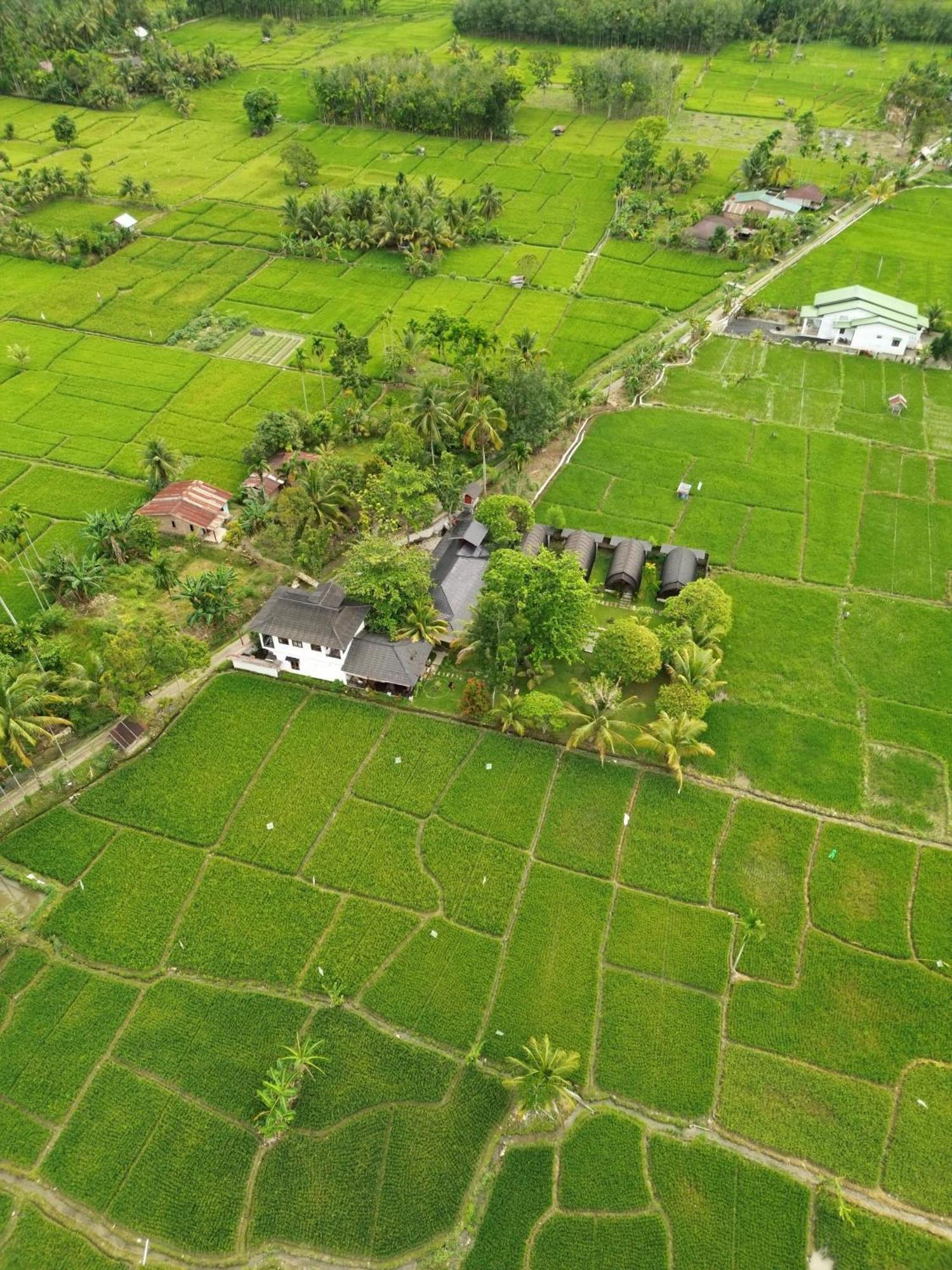 Gino'S Place - Guest House & Jungle Trekking Bukit Lawang Εξωτερικό φωτογραφία