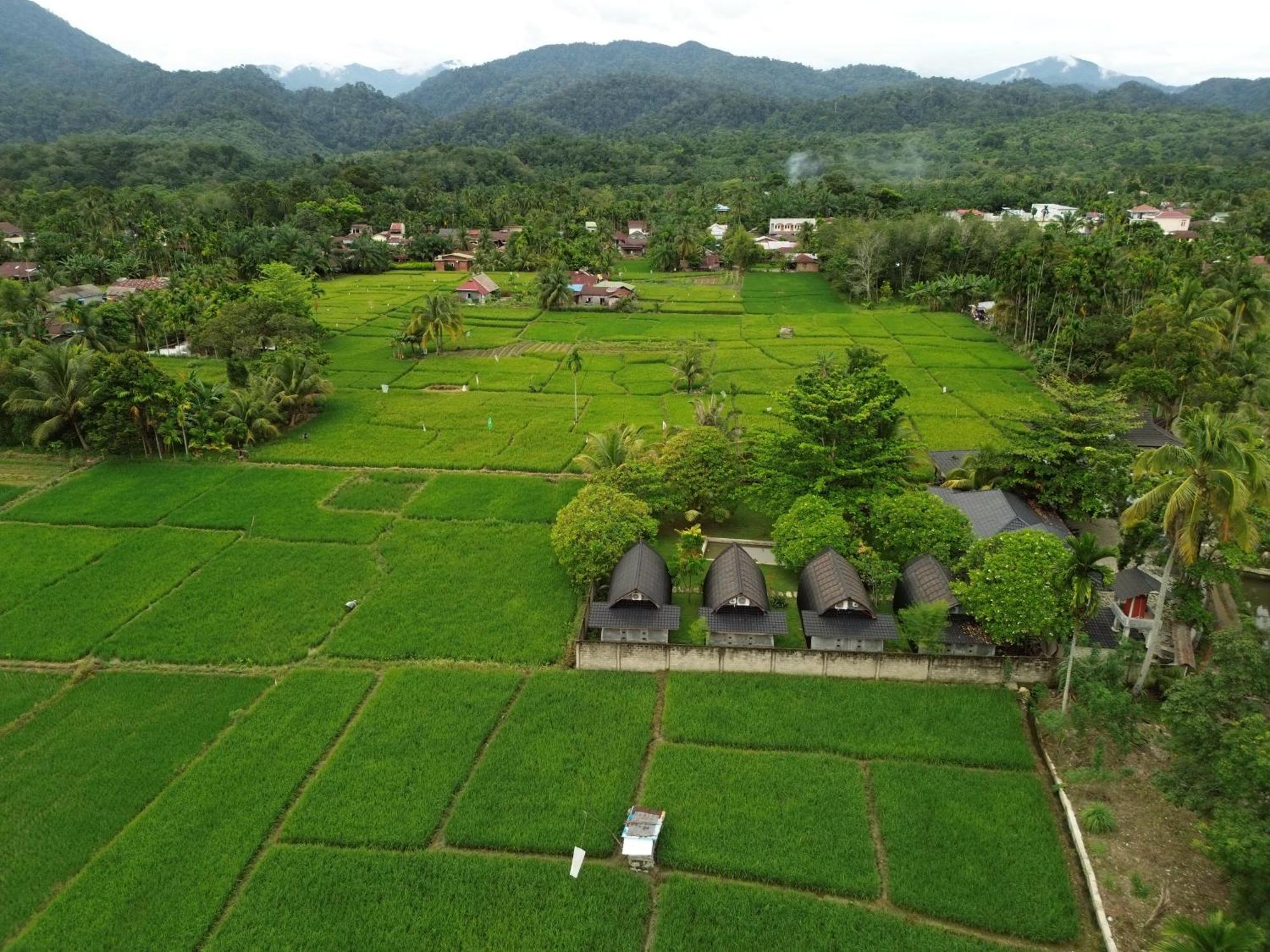 Gino'S Place - Guest House & Jungle Trekking Bukit Lawang Εξωτερικό φωτογραφία